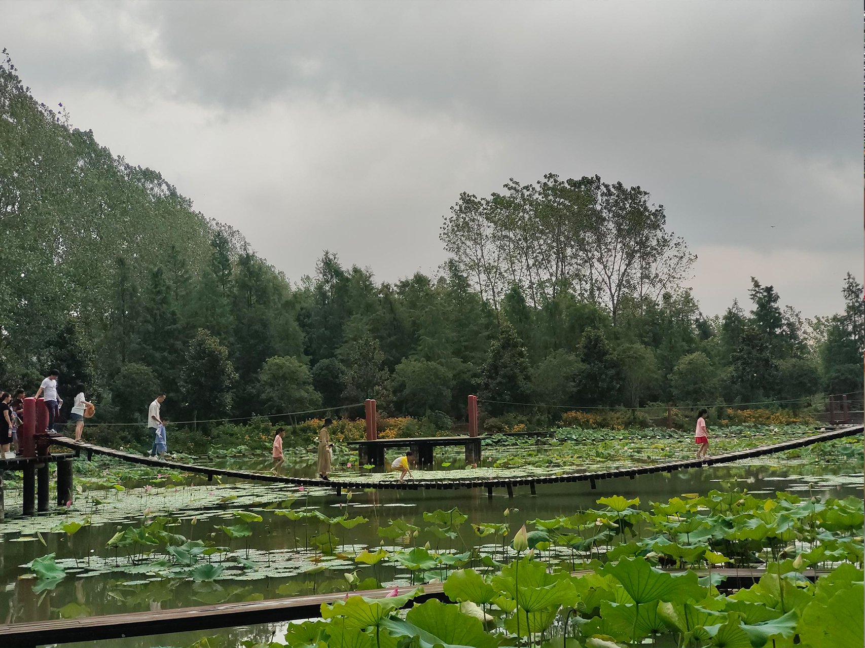 07082209_18.jpg 07082209_18.jpg